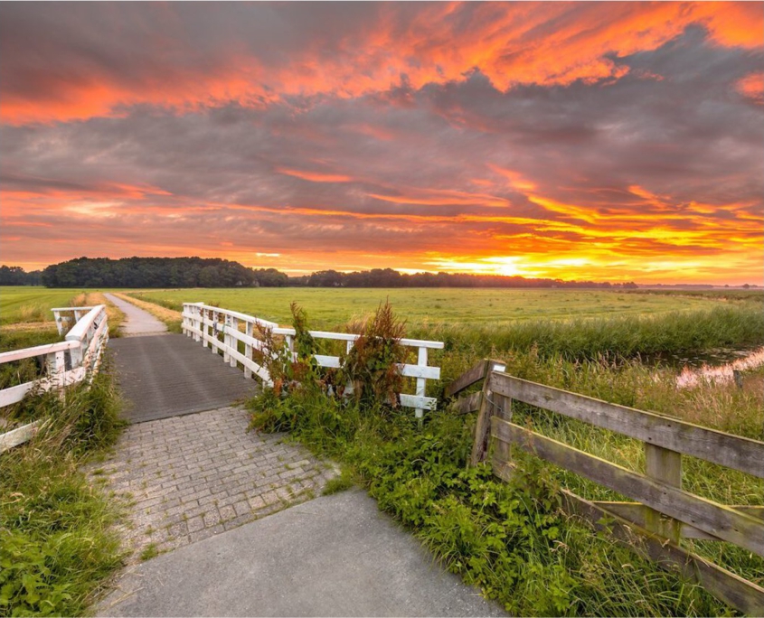Friesland Prachtig gelegen Bed and Breakfast te midden van het schilderachtige landschap van Friesland