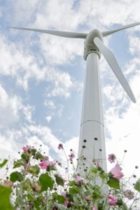 Windmolen Duurzame Bed and Breakfast: Onze accommodaties zijn energieneutraal, met aandacht voor milieuvriendelijkheid en duurzaamheid